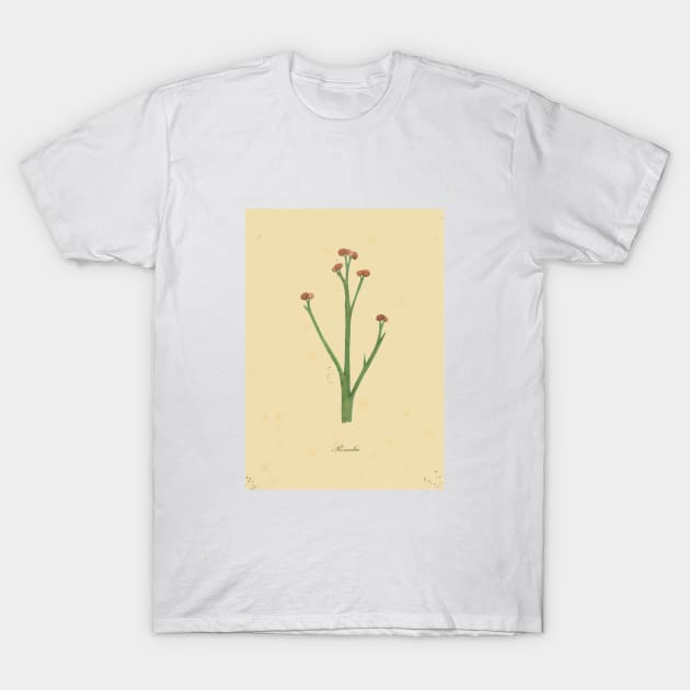 Botanical watercolor painting T-Shirt by Sharon Rose Art